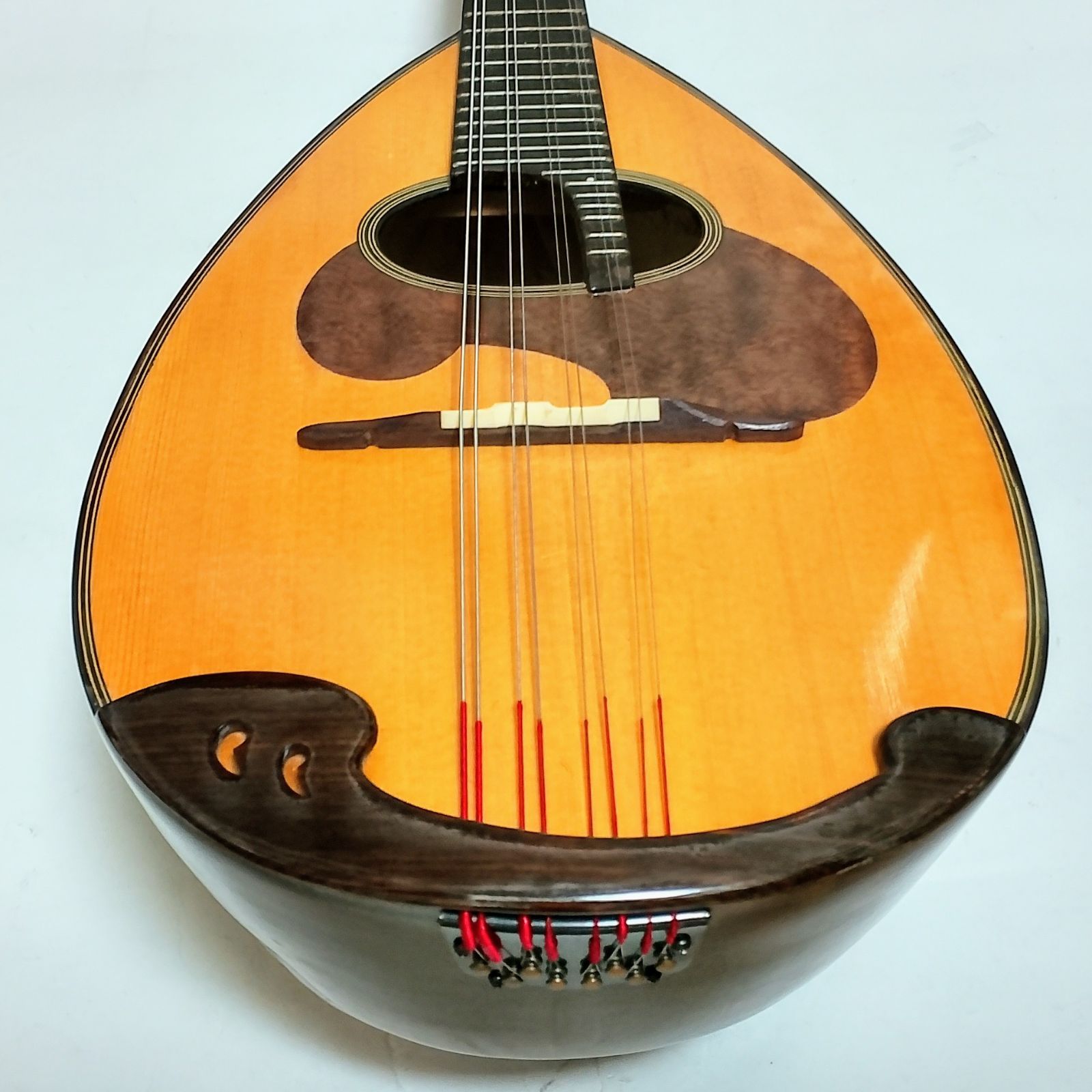 人気特価激安 SUZUKI VIOLIN M50 マンドリン - メルカリ 弦楽器