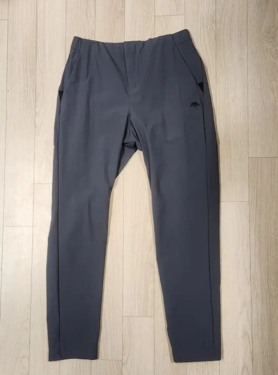 DESCENTE(デサント) ウーブンパンツ L
