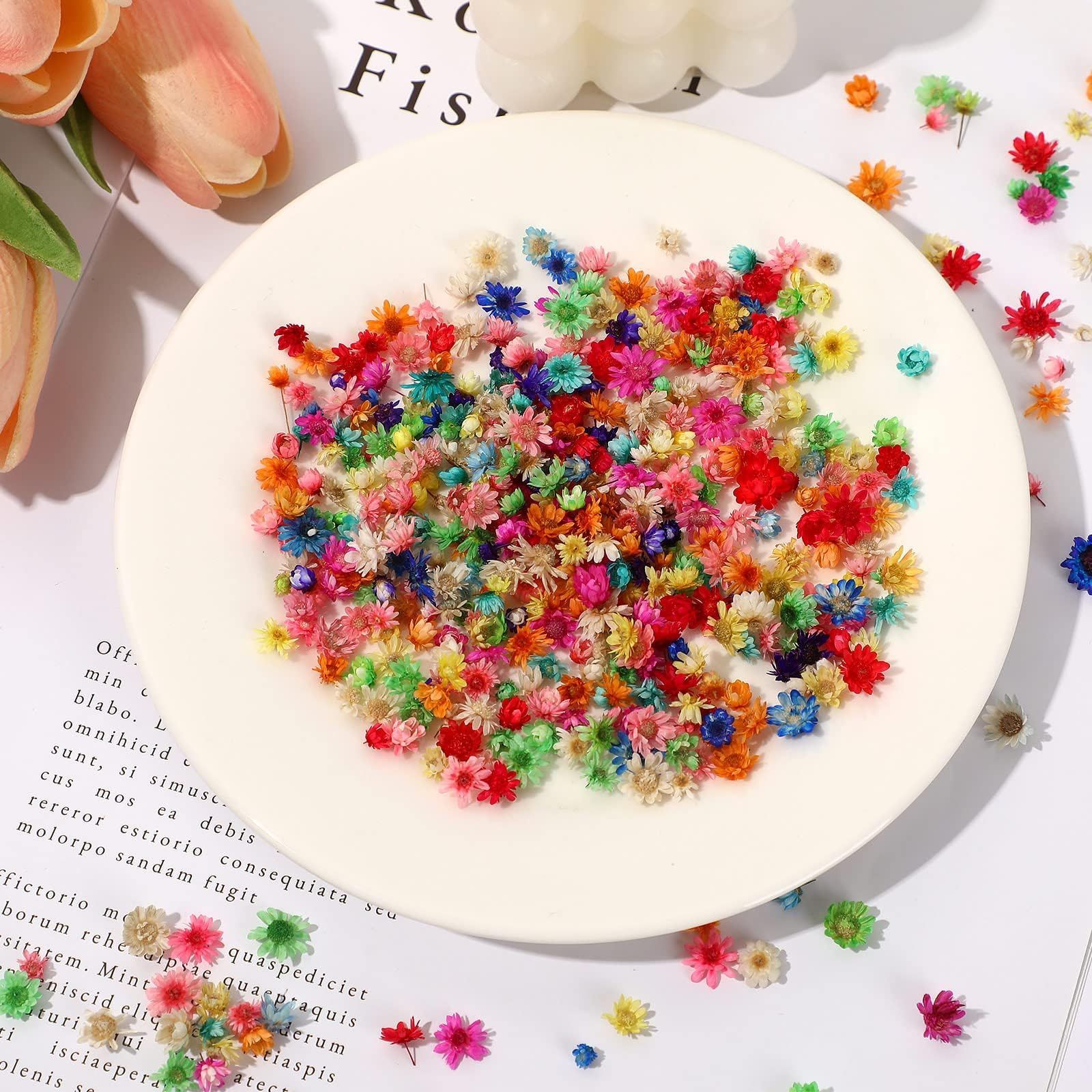 Neiang ドライフラワー レジン用 400個入り 押し花 乾燥シート レジン