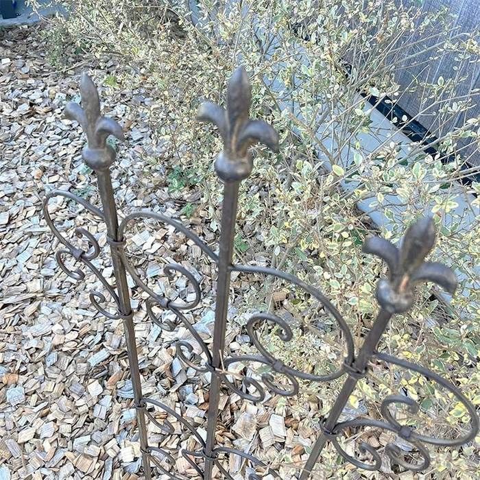 植物 トレリス