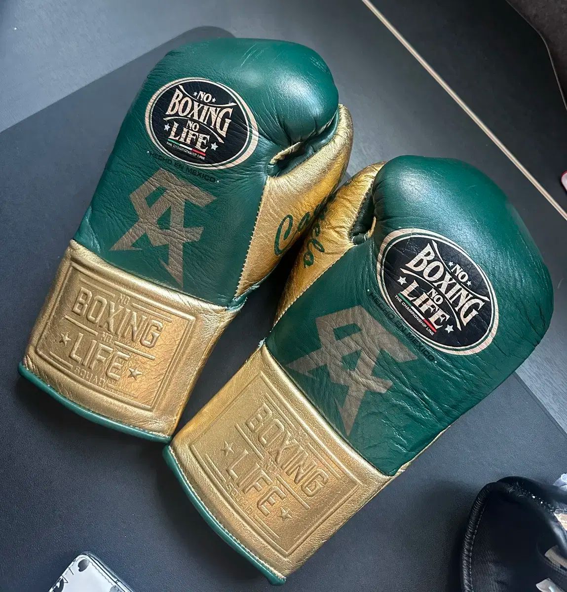 ボクシング ポスター 粟生隆寛vsガマリエル・ディアス 岩佐亮佑 三浦