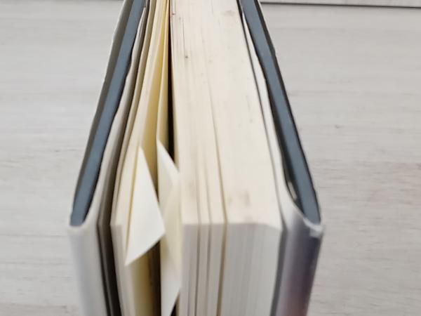 ルドルフ・シュタイナー『シュタイナーヨハネ福音書講義』 高橋巌訳