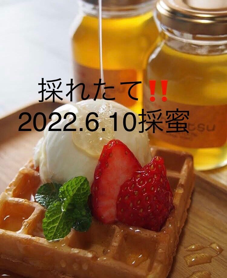 とことん濃さにこだわった牧之原HONEY (クロガネモチ)200g 10本セット とことん濃さにこだわった蜂蜜。牧之原HONEY(クロガネモチ)240g