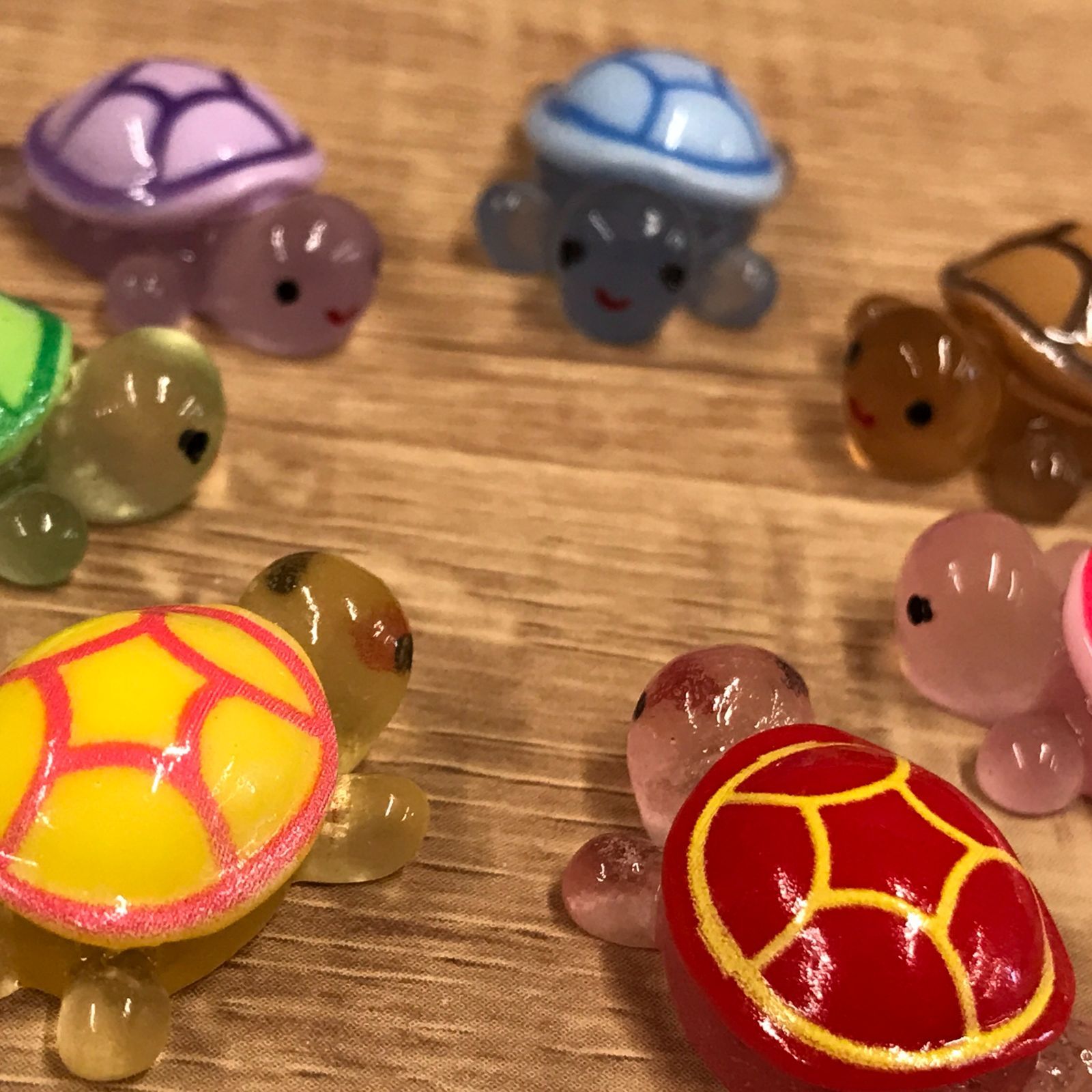 早い者勝ち大特価!!】新品未使用／亀／かめ／おもちゃ