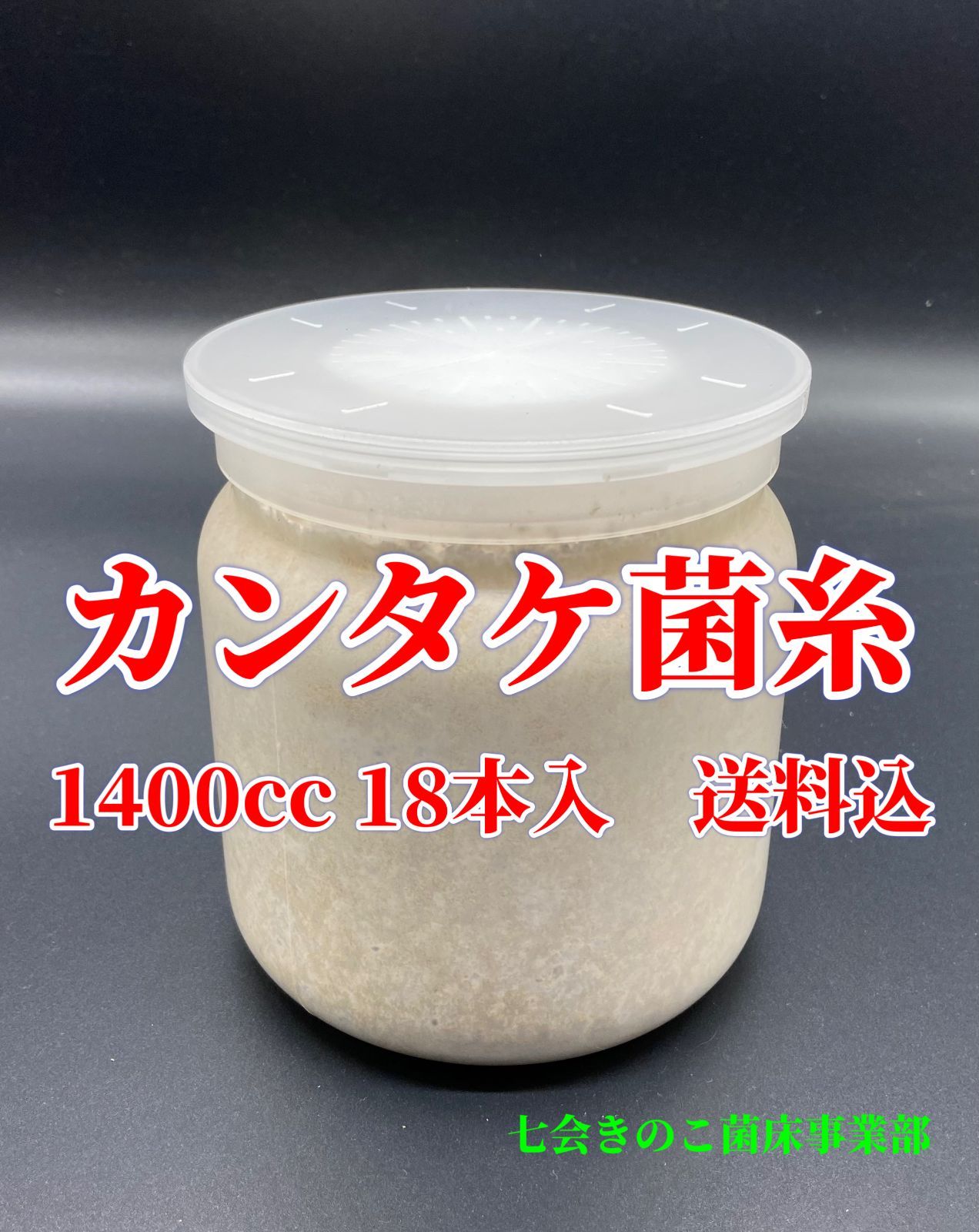 菌糸ブロック カンタケ 10点セット - 虫類用品