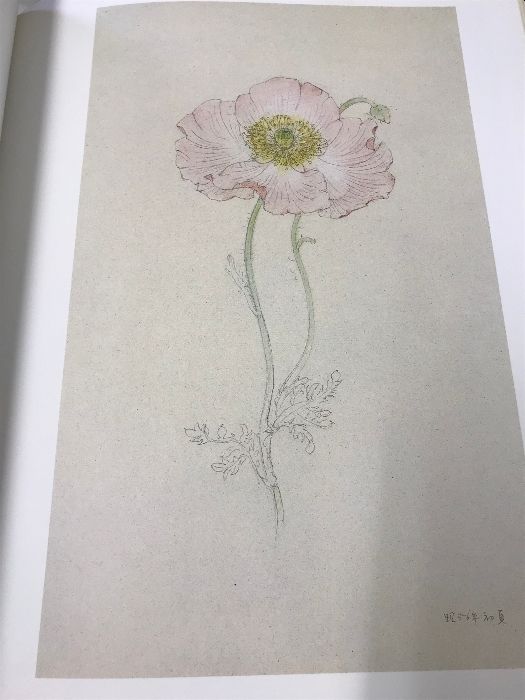 大野俶嵩画集 花に祈る 京都書院 HIDETAKA OHNO - メルカリ
