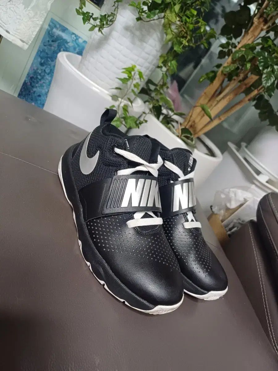 女性女性 NIKE(ナイキ) スニーカー 240