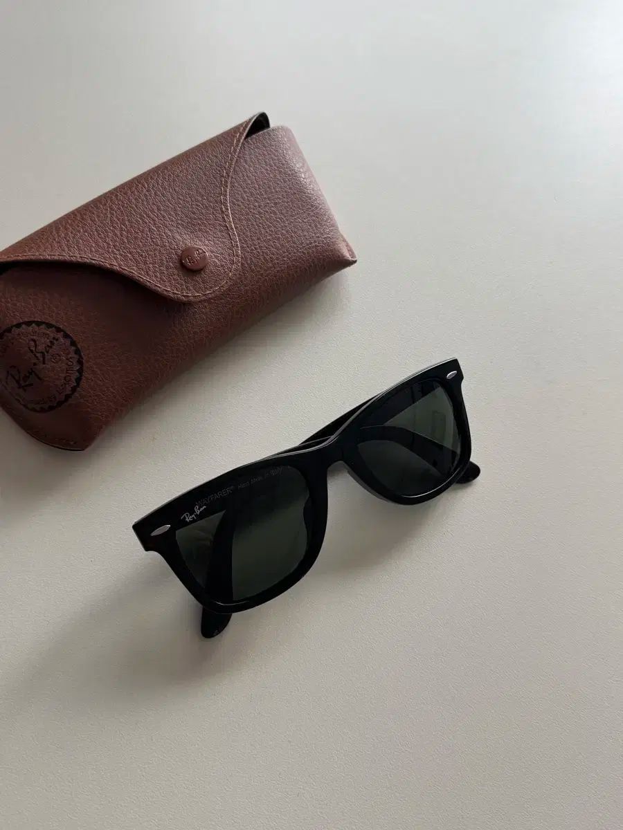 ジウジアーロ GIUGIARO × ニコン Nikon サングラス メタルフレーム