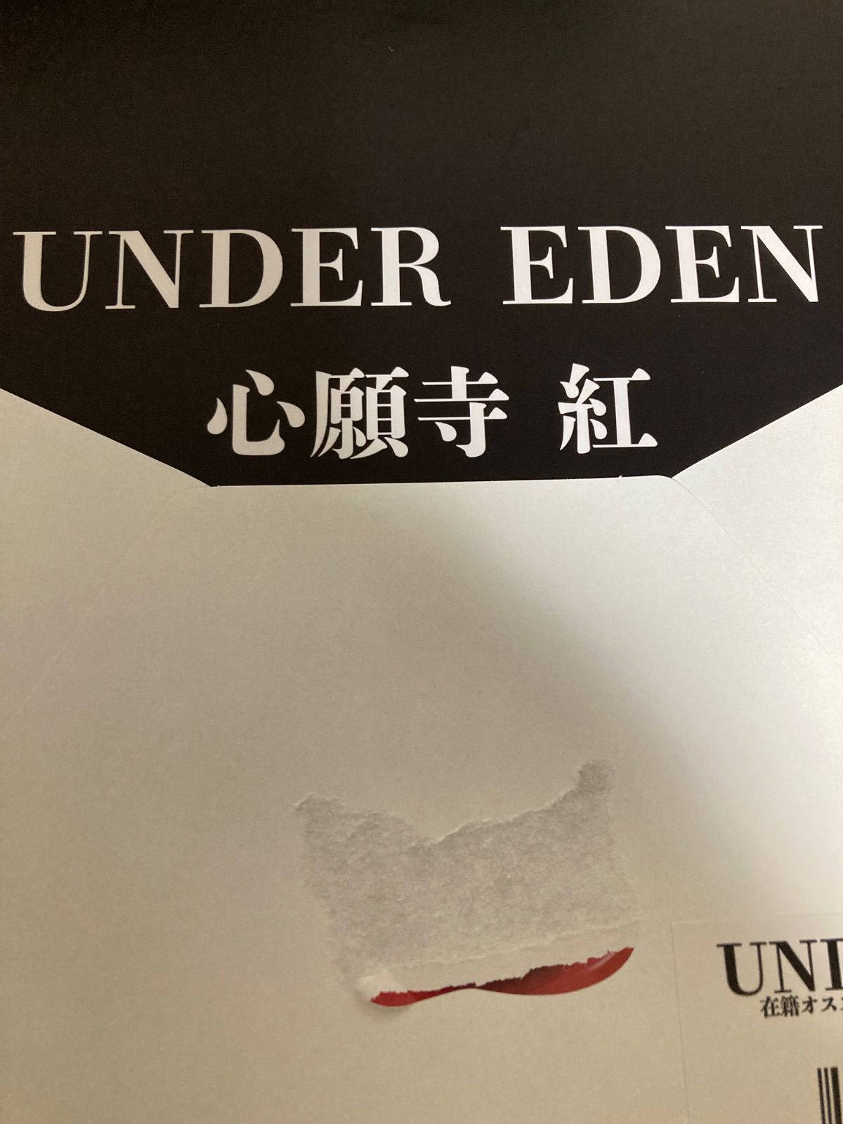 対魔忍 心願寺紅 アンダーエデン公式グッズ 在籍オススメ嬢3D
