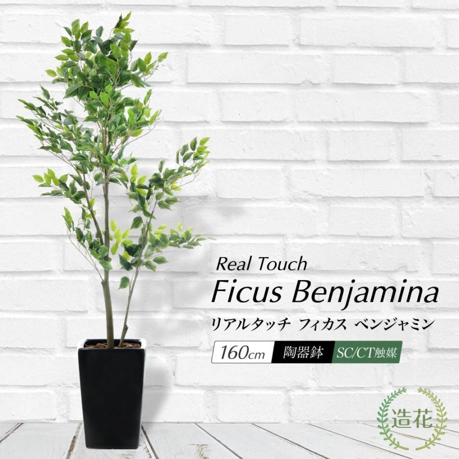 セール！ハンドル高さ調節可能　家庭用62cc エンジン式 耕運機 耕うん機 ハンドル高さ調節可能 家庭用62cc エンジン式 耕運機 耕うん機 耕し機 2025