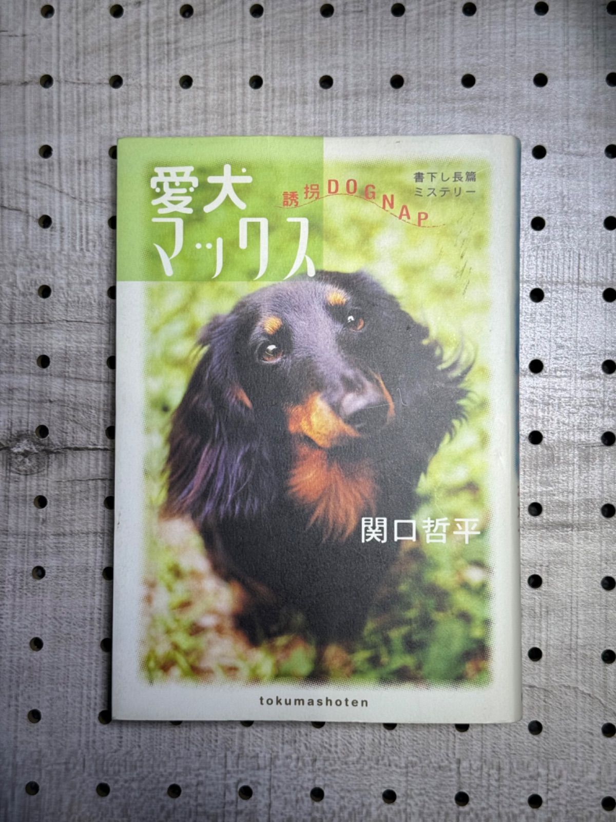 愛犬マックス : 誘拐dognap : 書下ろし長篇ミステリー - 文学/小説