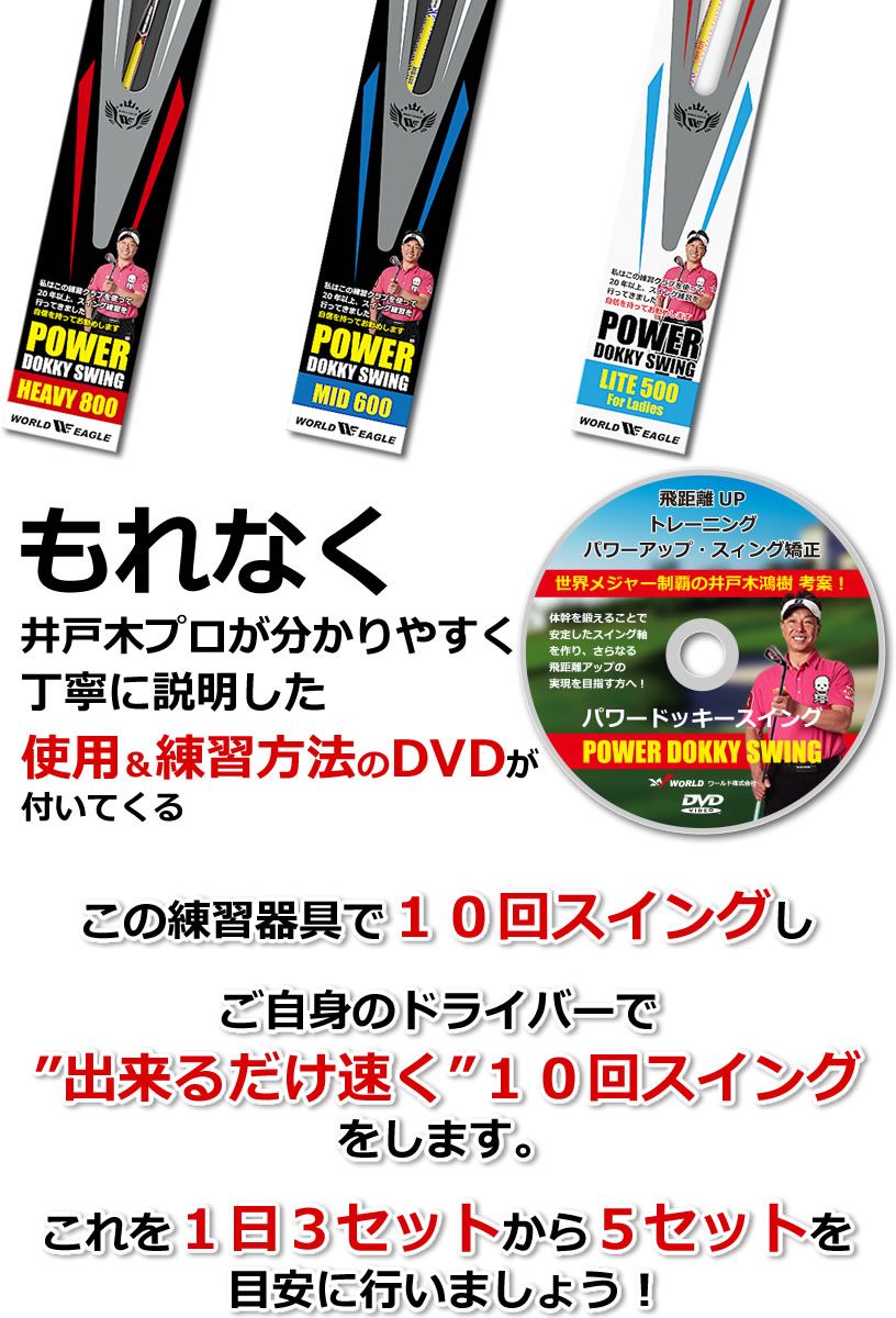 フォロー割実施中！(公式)ワールドイーグル WE PDSパワードッキー