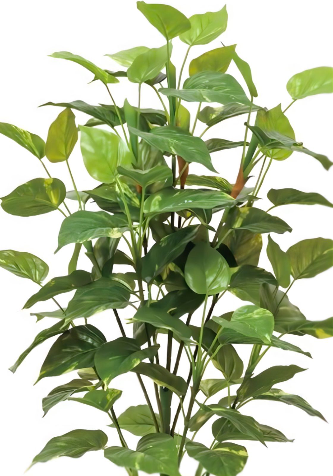 光触媒　人工観葉植物　ウォールグリーン　フェイクグリーン　ポトス高さ1.5m 光触媒 人工観葉植物 ウォールグリーン フェイクグリーン ポトス高さ