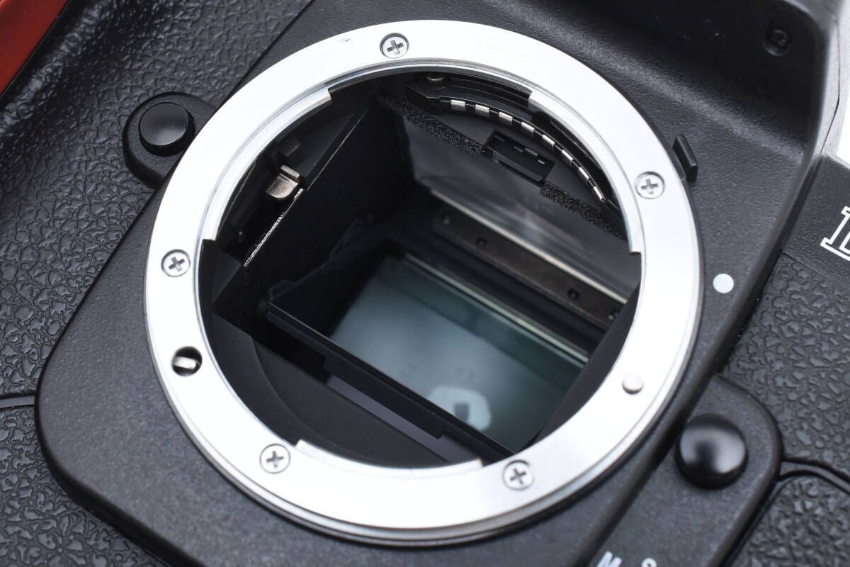 ☆通電確認OK☆ ニコン Nikon D1 ボディ EN-4 バッテリー付属