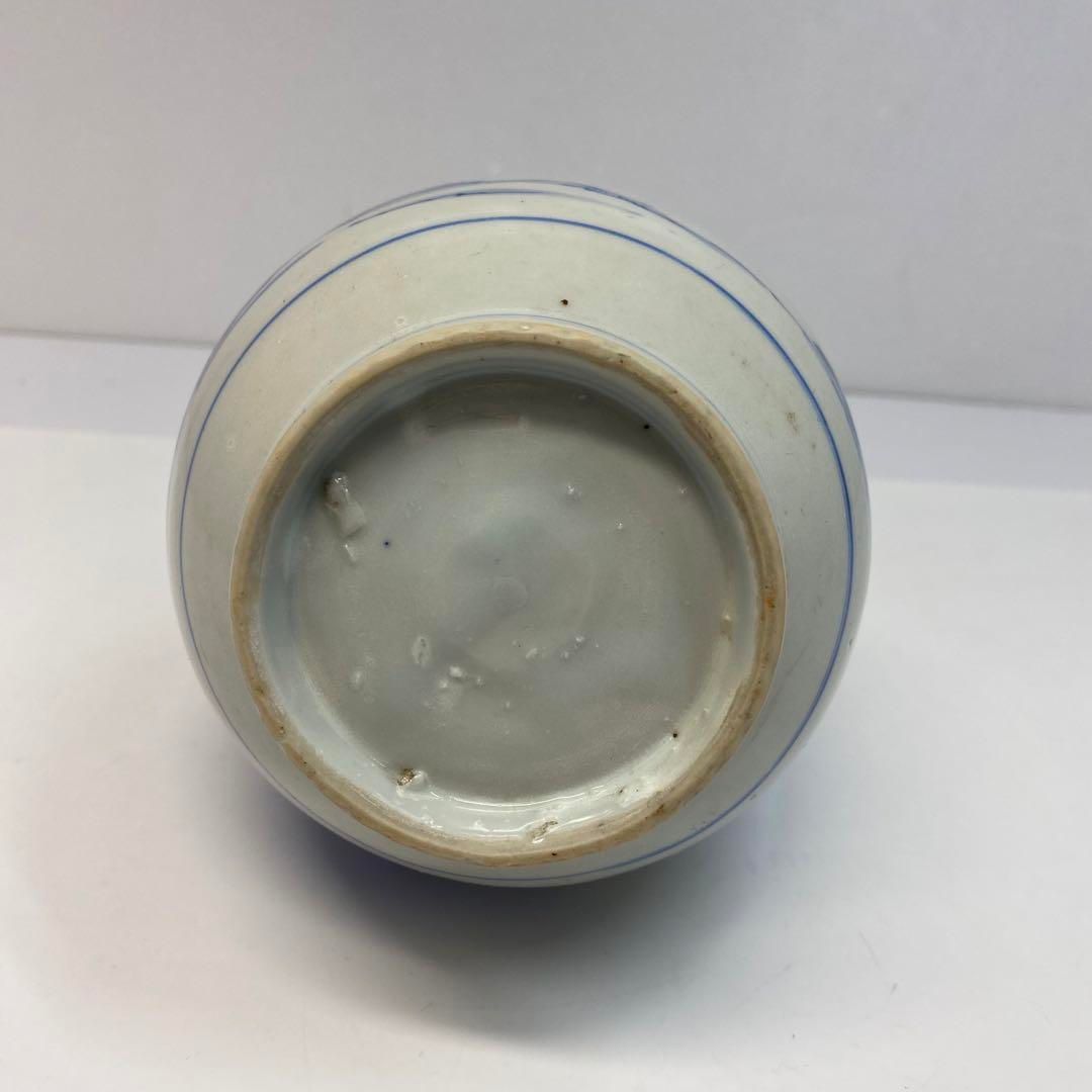 タサオ 高さ28㎝