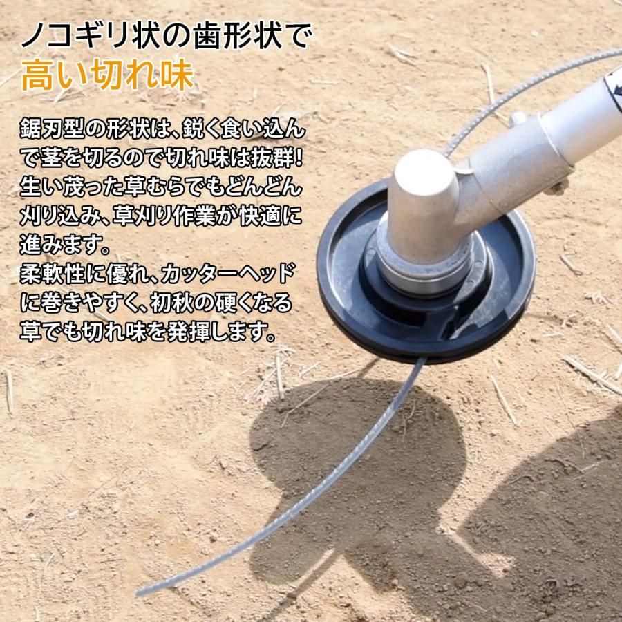 太さ2.7mm 長さ100?