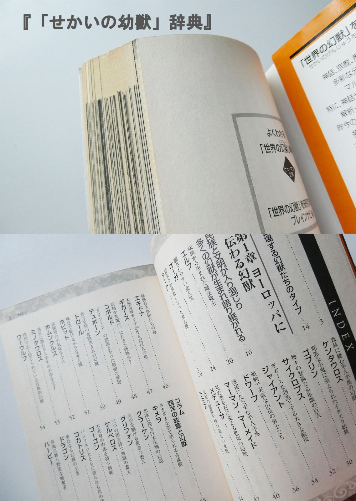 中古】セット販売『伝説の「武器・防具がよくわかる本』『「世界