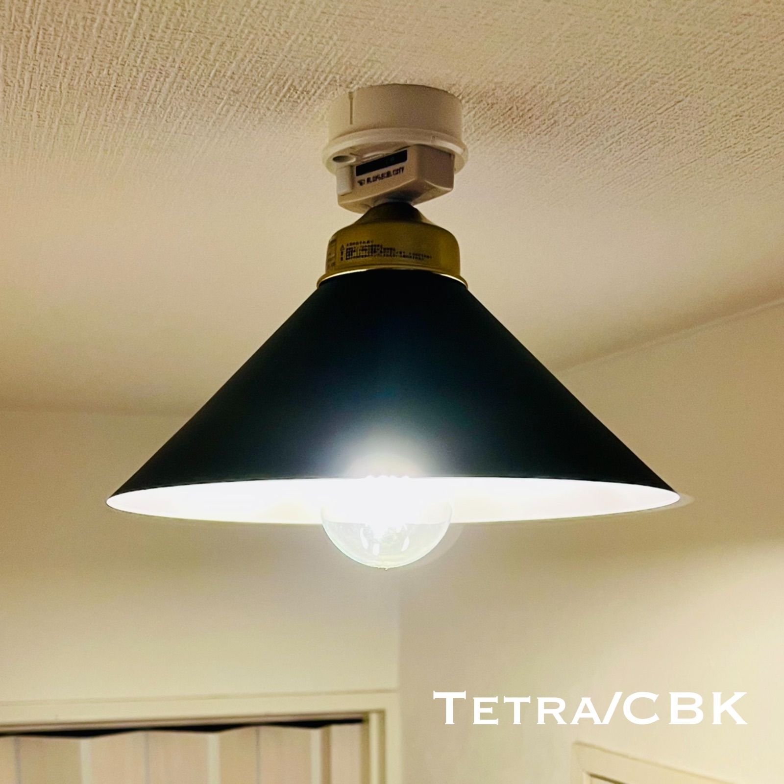 天井照明 シーリングライト Tetra/CBK スチール 黒半艶塗装 ランプ 