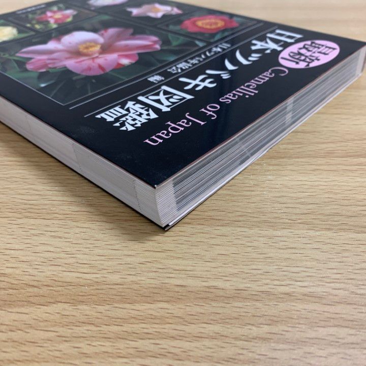 同梱不可