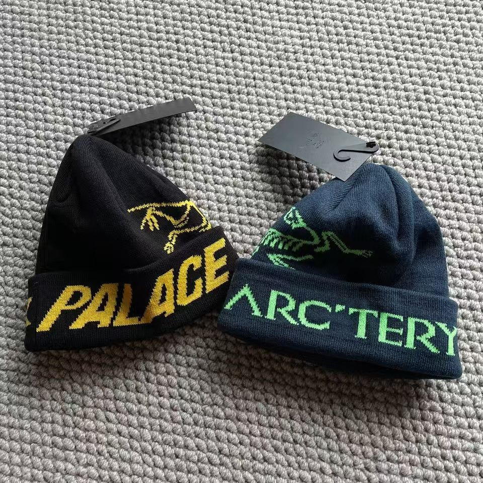 Palace arcteryx パレス　アークテリクス　ビーニー　ニット帽