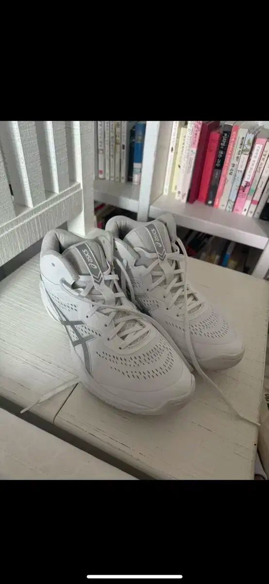 Asics アシックス ゼルホーフ v15 バスケットシューズ 275