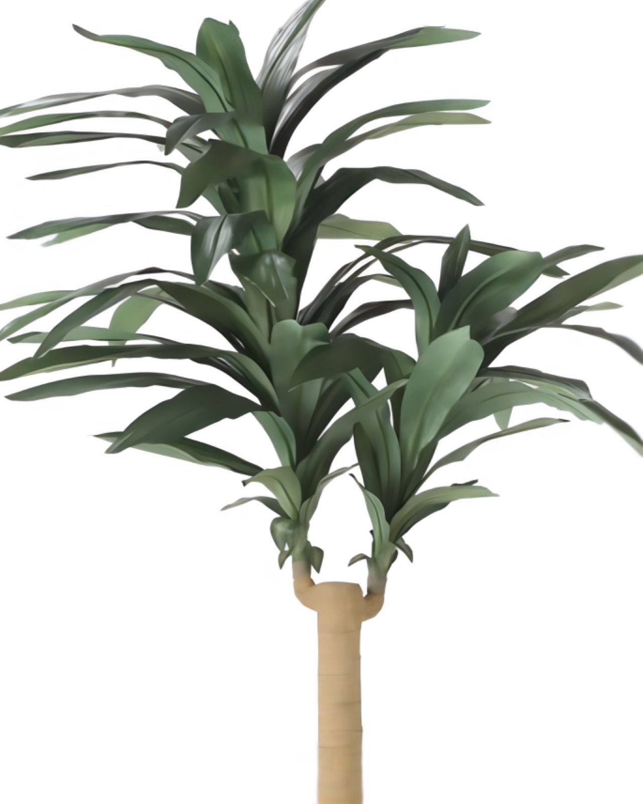 光触媒 人工観葉植物 フェイクグリーン 幸福の木 ドラセナグリーン 1.5