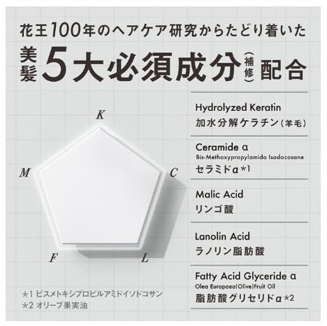 THE ANSWER スーパーラメラシャンプー 詰替え 320ml × 2袋 ジアンサー