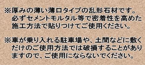 薄 アルビノイエロー