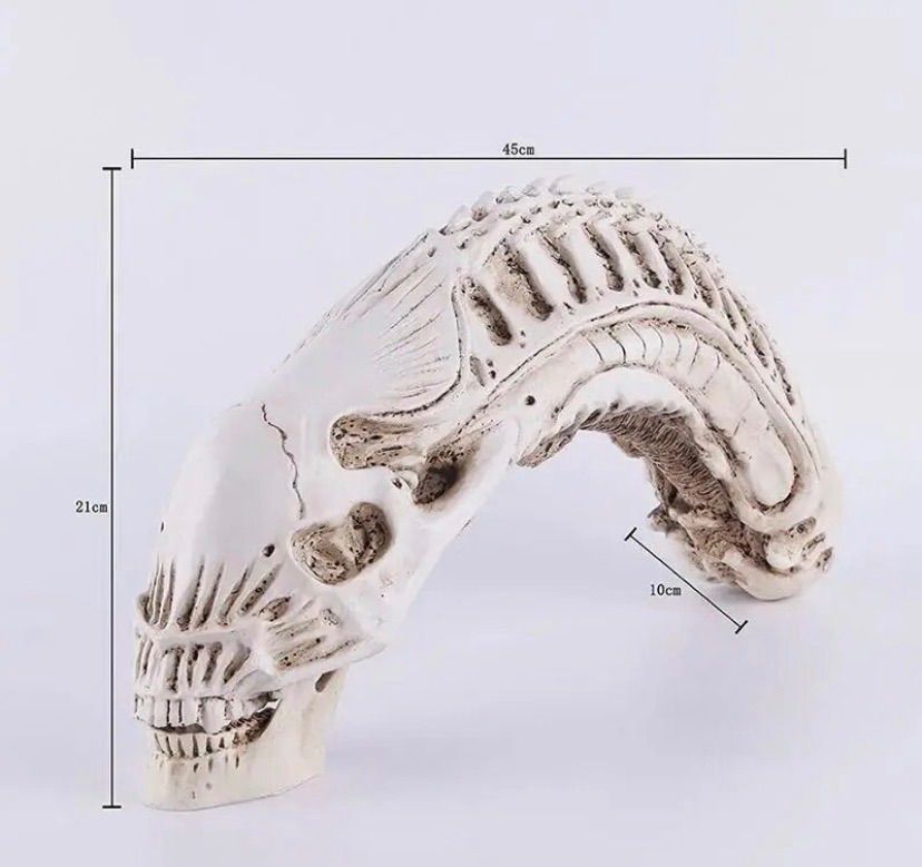 エイリアン スカルモデル 骸骨 希少モデル 解体 標本 骸骨 インテリア 