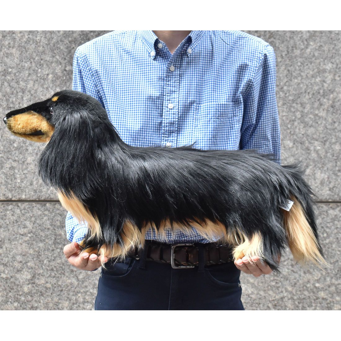 実寸大　ダックス　ブラック HANSA8511 ミニチュアダックスフンド ロングヘア 59cm DACHSHUND