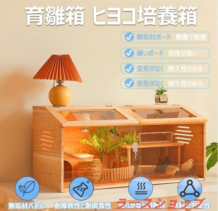 ウズラ