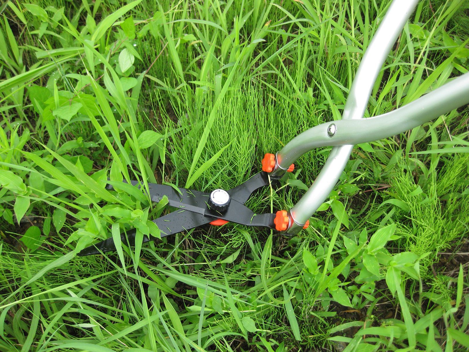 立ち作業用草刈りはさみ ホシノ