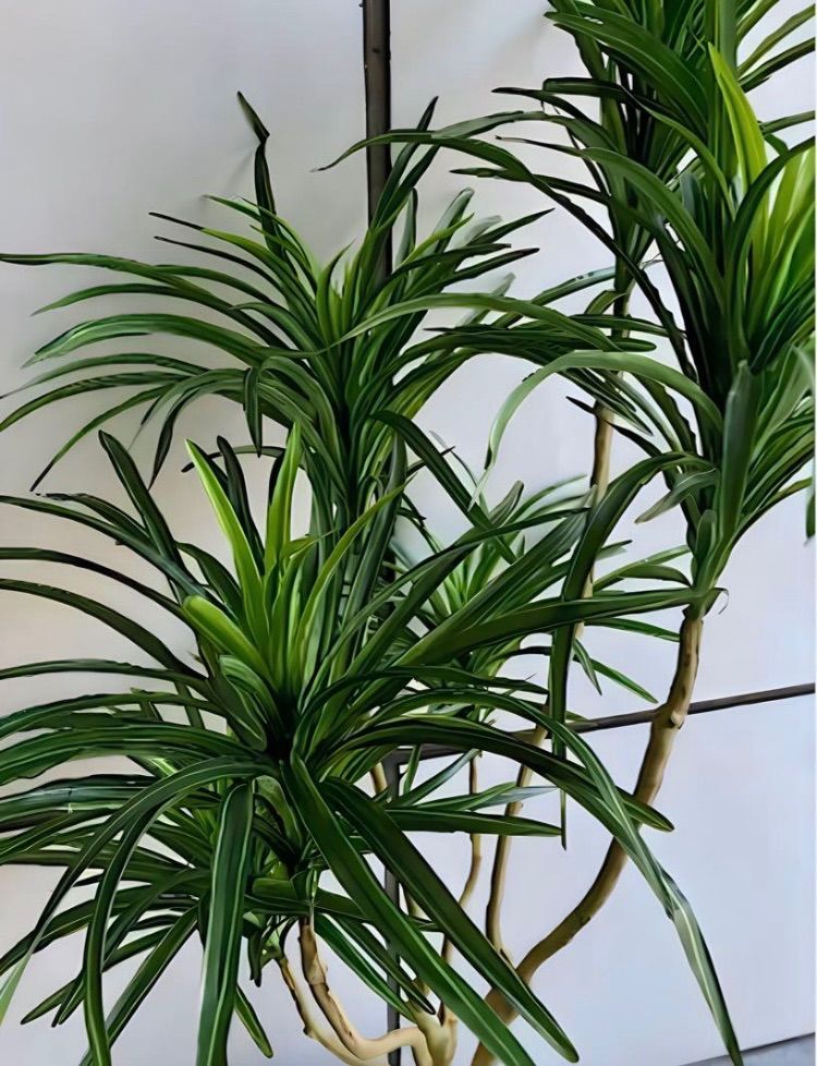 光触媒 人工観葉植物 ウォールグリーン フェイクグリーン コンシンネ