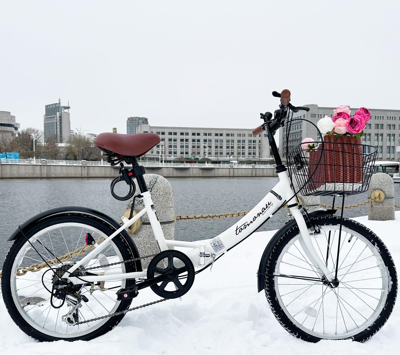 折り畳み自転車 20インチ 折りたたみ自転車 6段変速 カゴ ワイヤー錠 