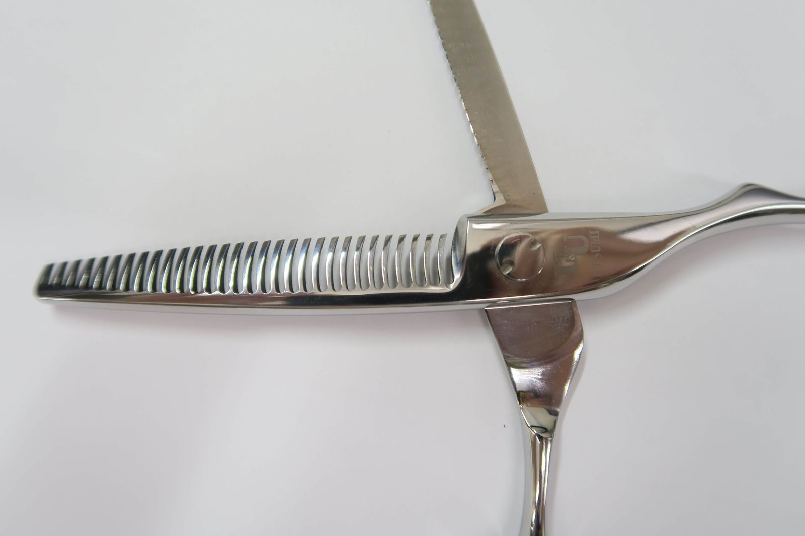 WILDFRAULEIN カバートップ はずかしく 