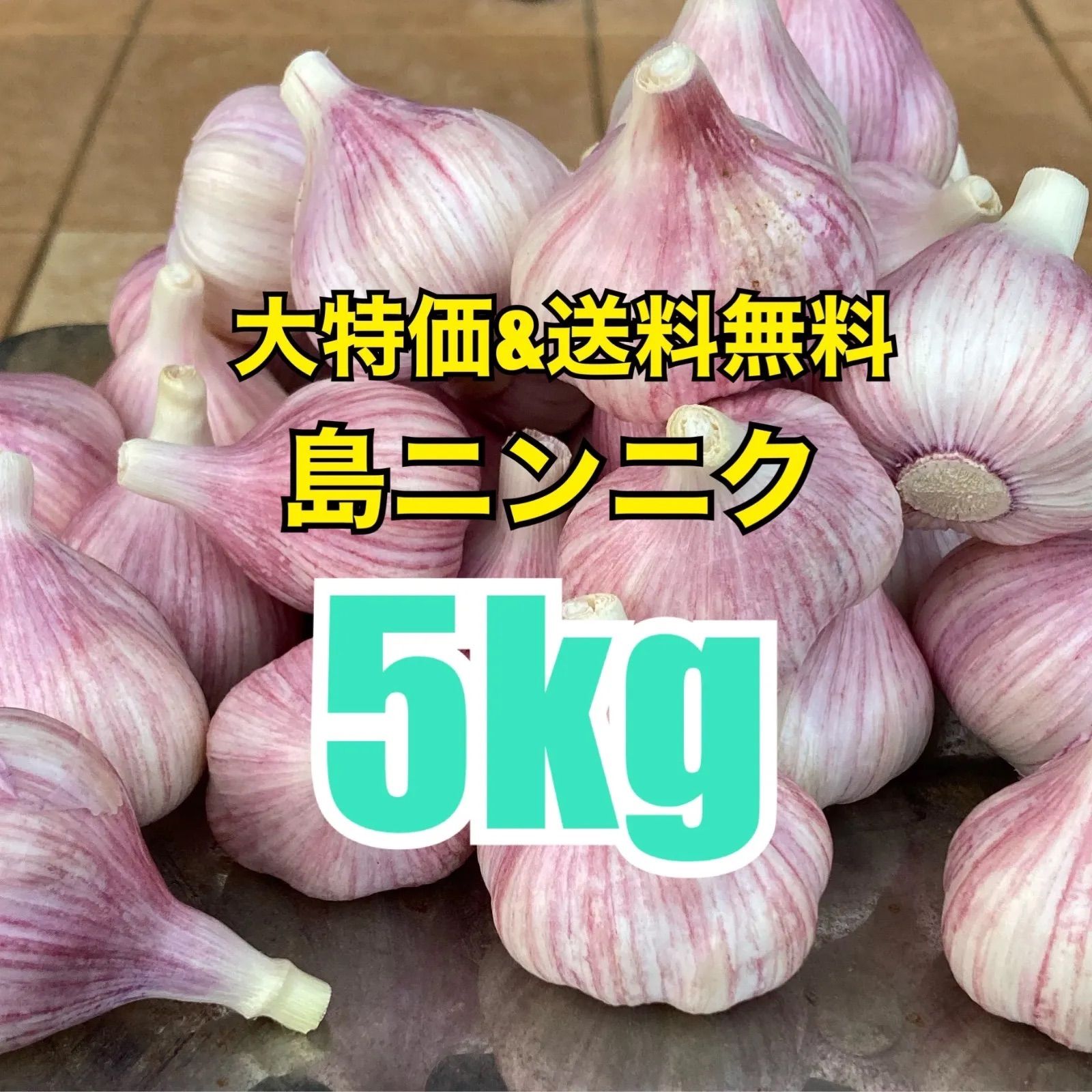 【美味！大好評！健康美容野菜！初物！】沖縄伊江島産ニンニク5kg