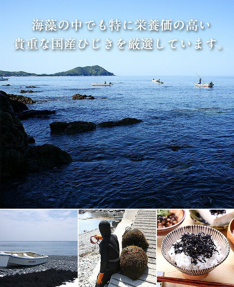 国産ひじき生ふりかけ100g　※選べる2種類の味⇒【a】しそ風味、【b】梅の実 ヒジキ しそひじき　祖の食庵　甲羅組-3