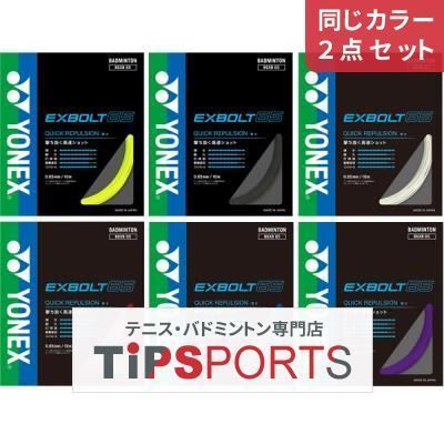 同じカラー2点セット】ヨネックス(YONEX) エクスボルト65 10m