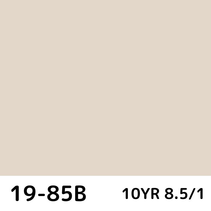 19-85B