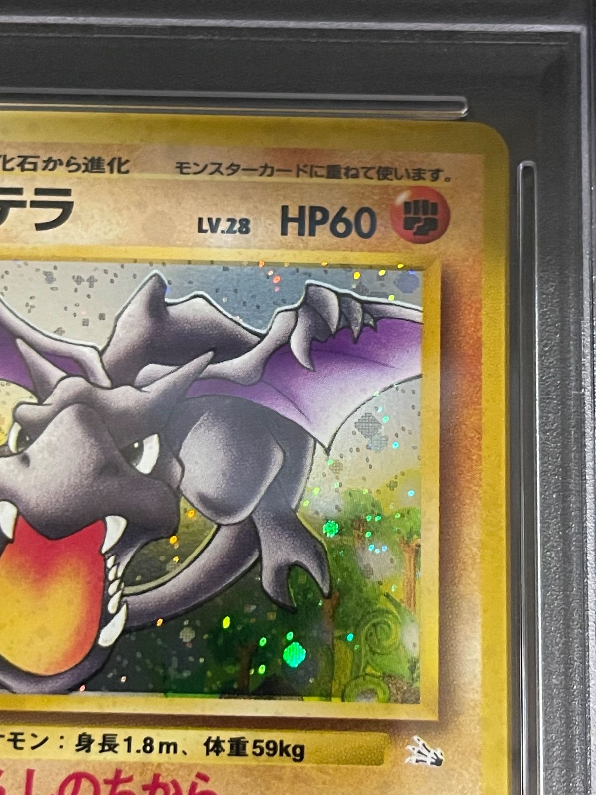 ポケモンカード 1997年 プテラ 旧裏 PSA 8鑑定品 ポケモンカード 1997年 プテラ 旧裏 PSA 8鑑定品 - メルカリ