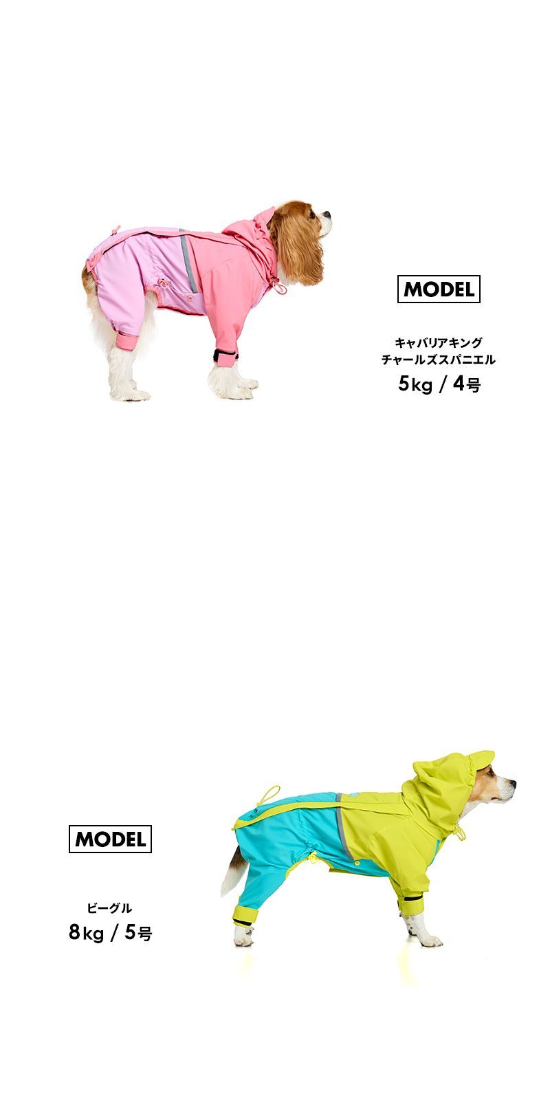 犬のカッパ 犬