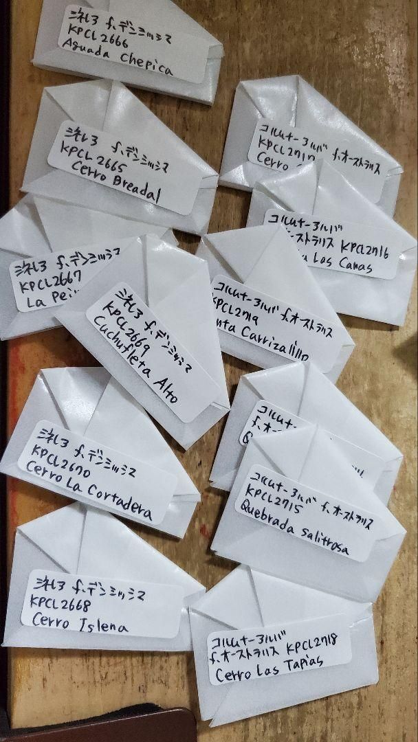 期間限定割引40%！ コピアポア KPCLナンバー各種 49種類セット 各5粒ずつ