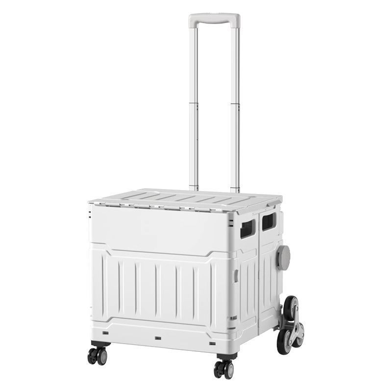 蛇イチゴ 西川監督サイン入りB2ポスター 蛇イチゴ 西川監督サイン入り