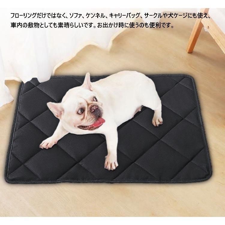 タグ付き petaportre ペットアポルテ イチゴ カフェマット