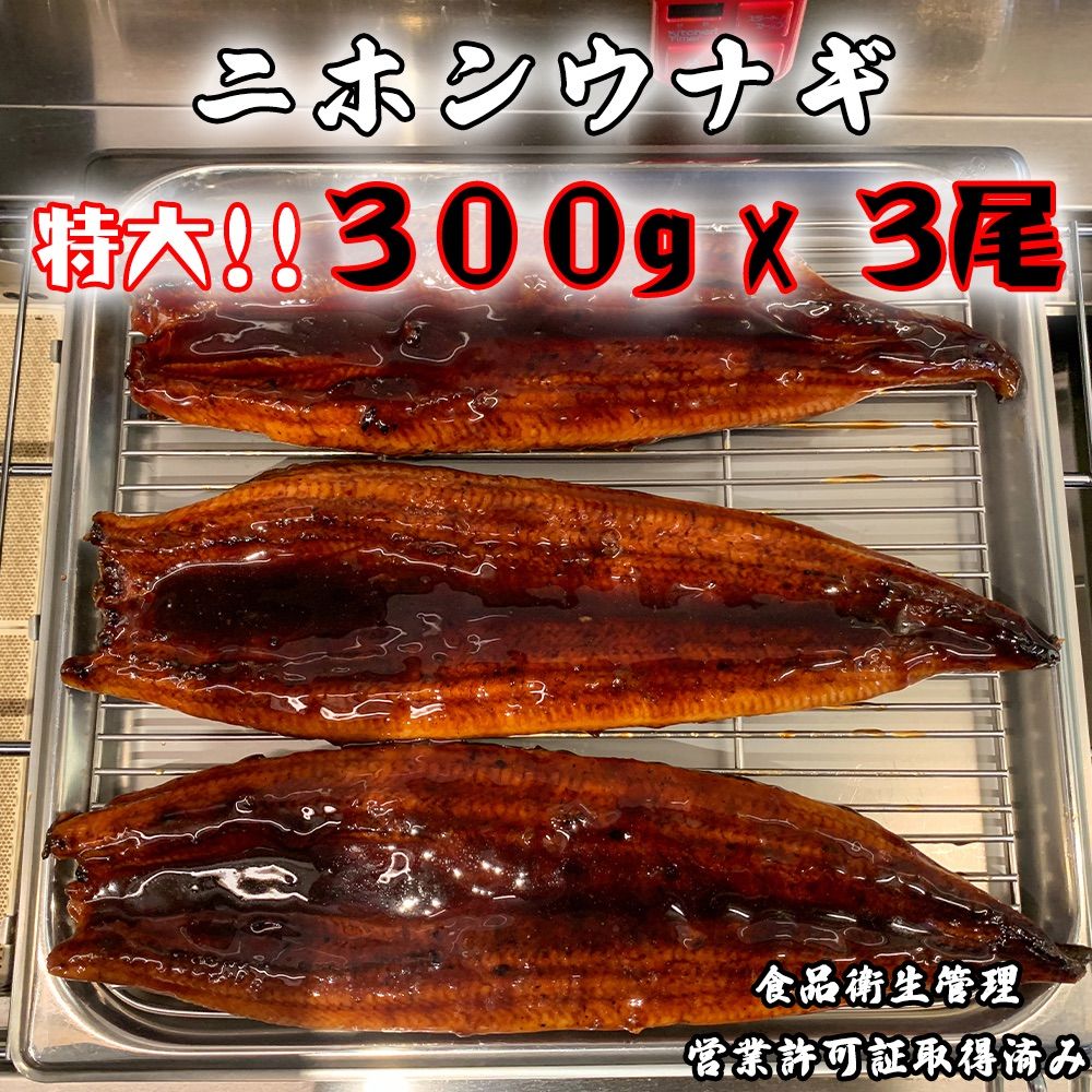 ニホンウナギ 蒲焼き 炭火焼き 300g × 10尾 冷凍 クール便配送