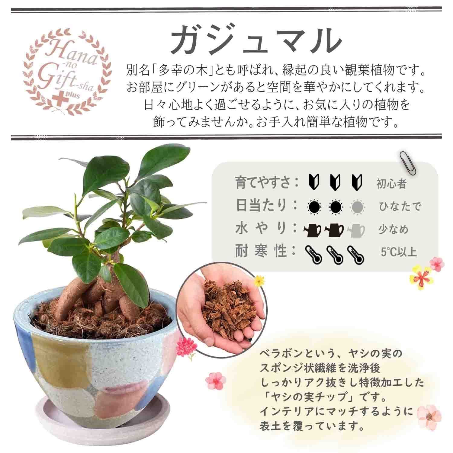 数量