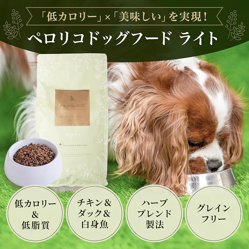 ライト