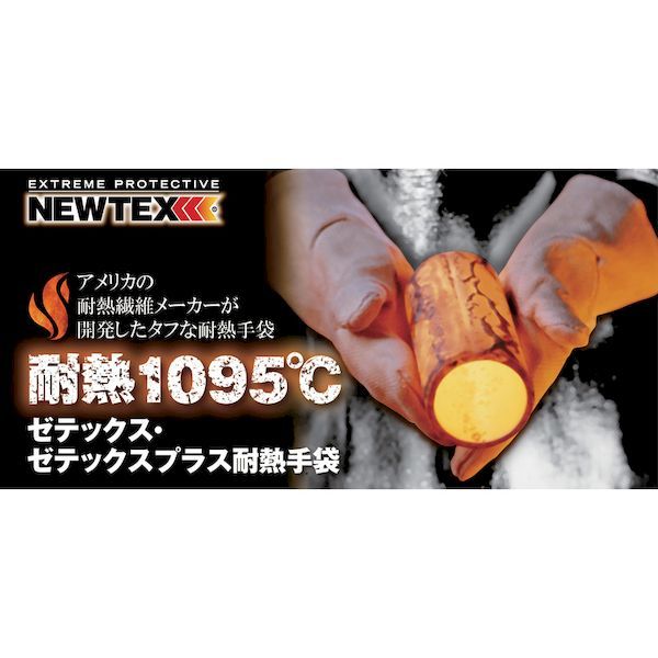 ＺＥＴＥＸ 201122300ZP