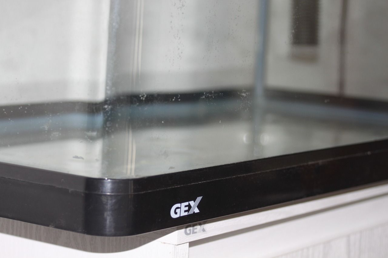 送料込み】GEX60cm曲げガラス水槽 GEXデュアルクリーン600 上部 