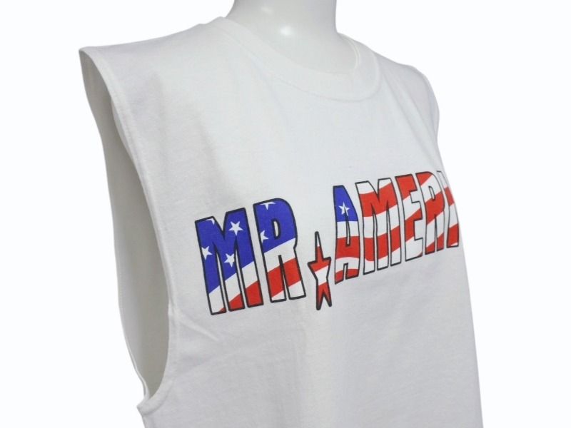 WWE プロレス World Wrestling Entertaiment Hulk Hogan ハルク